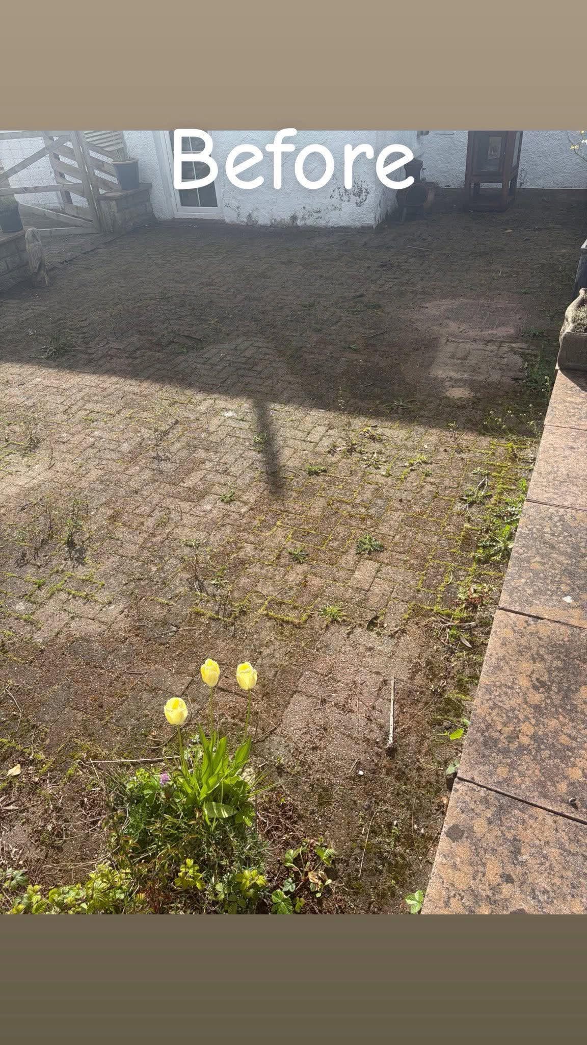 Patio before cleaning
