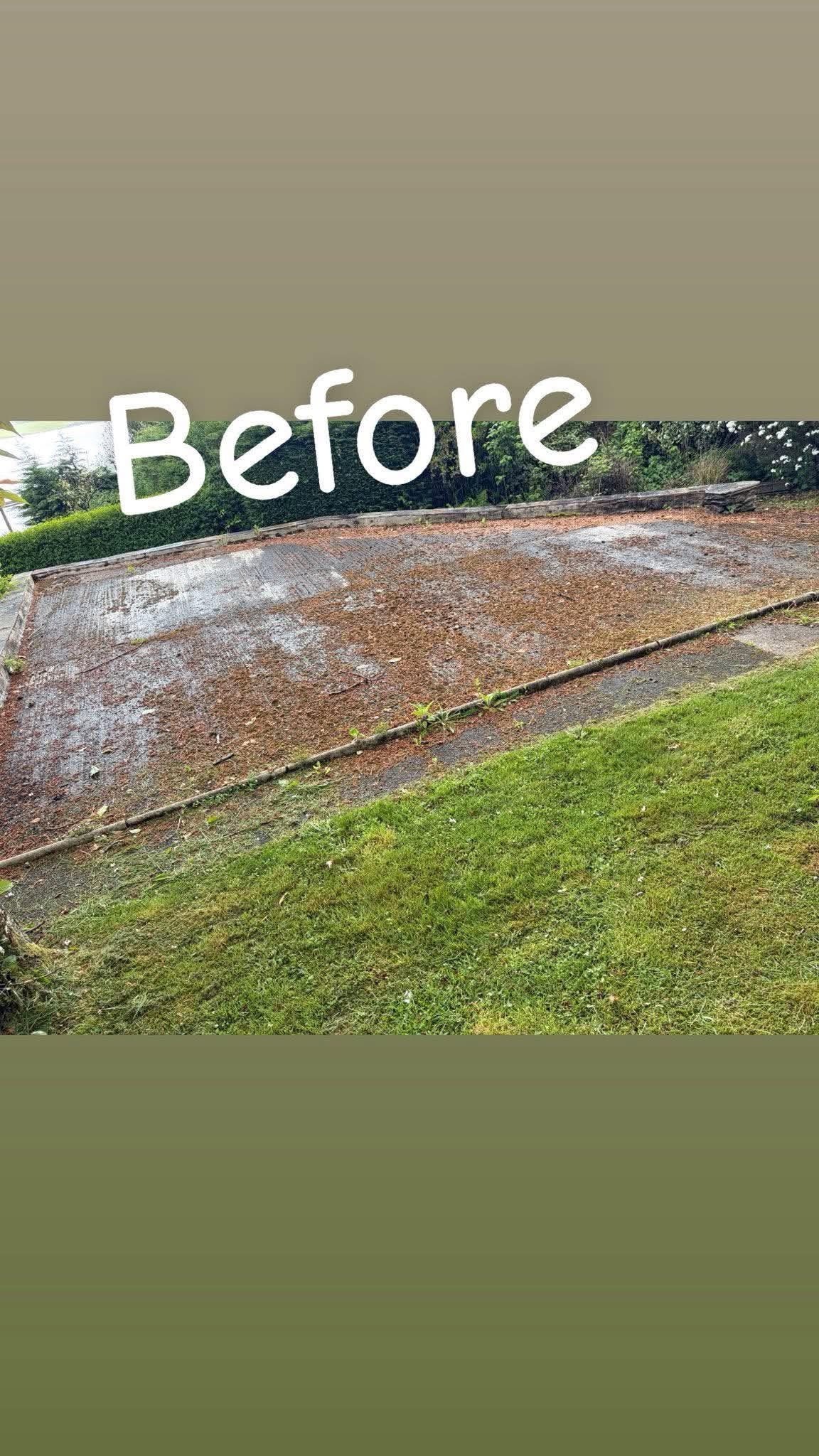Outdoor surface before cleaning